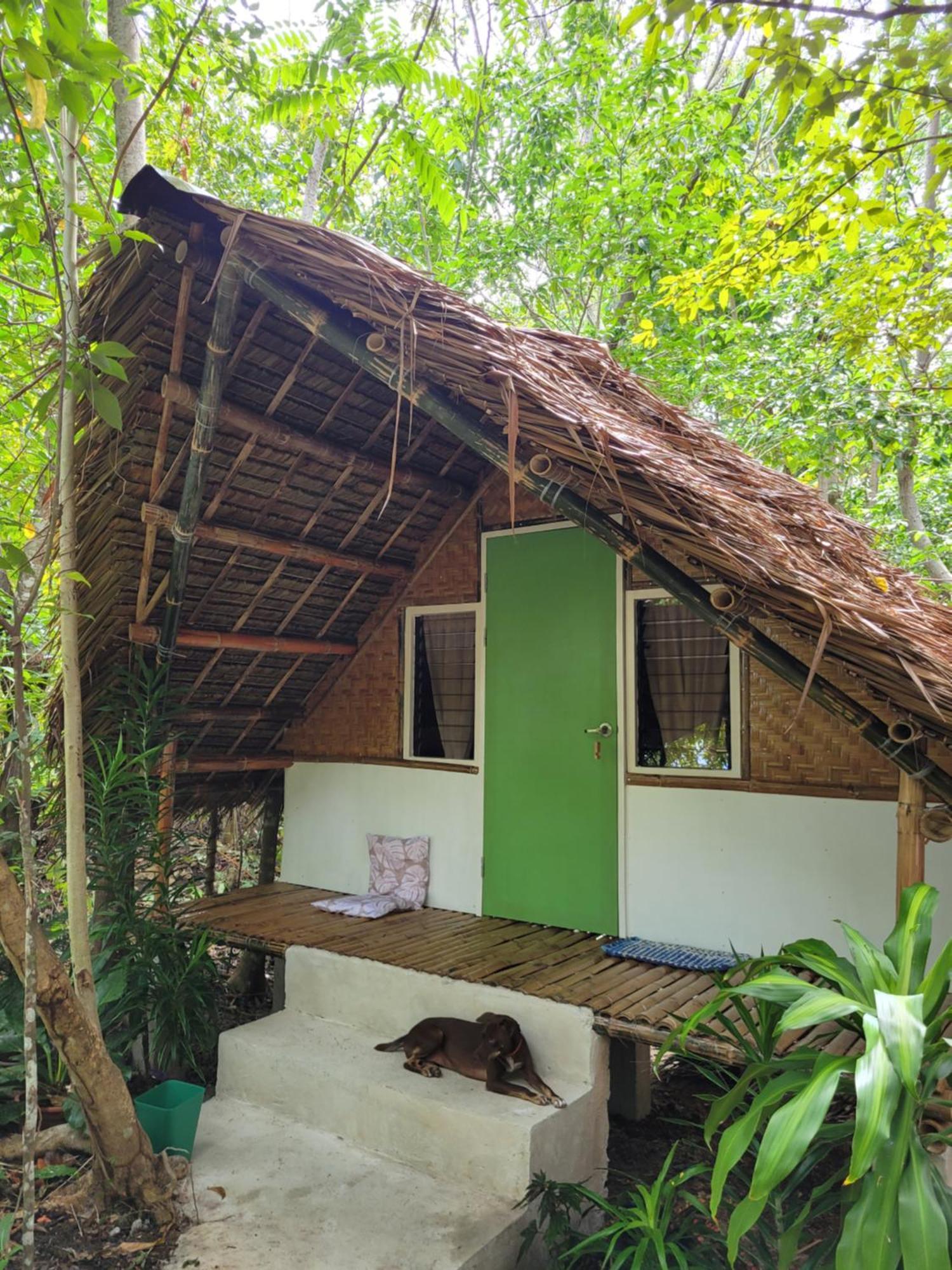 Lazy Lizard Hostel Siquijor Quarto foto